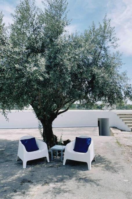 Casa Da Oliveira Villa เนลาช ภายนอก รูปภาพ
