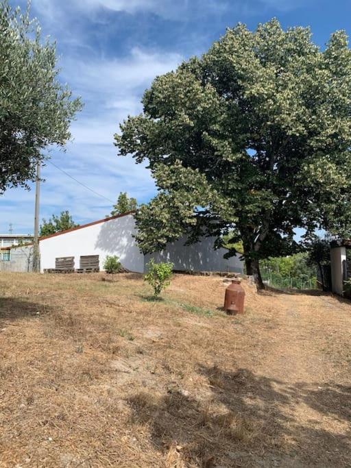 Casa Da Oliveira Villa เนลาช ภายนอก รูปภาพ
