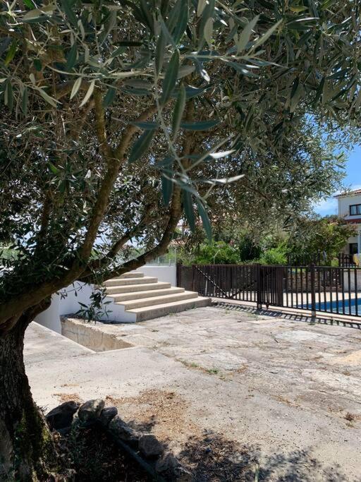 Casa Da Oliveira Villa เนลาช ภายนอก รูปภาพ